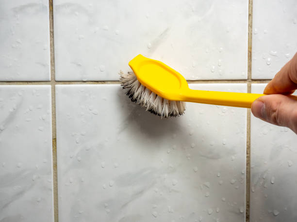 Best Residential Mold Removal  in Bethel Island, CA
